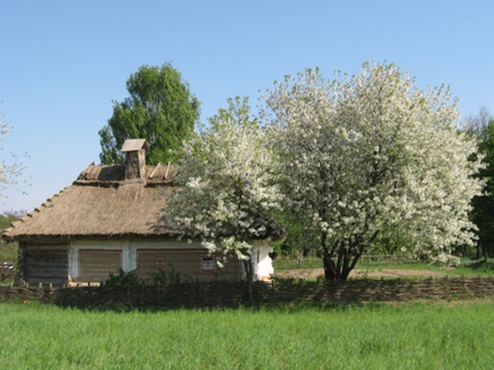 І хрущі гудуть